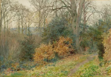 Ösvény az erdőn át, 1902